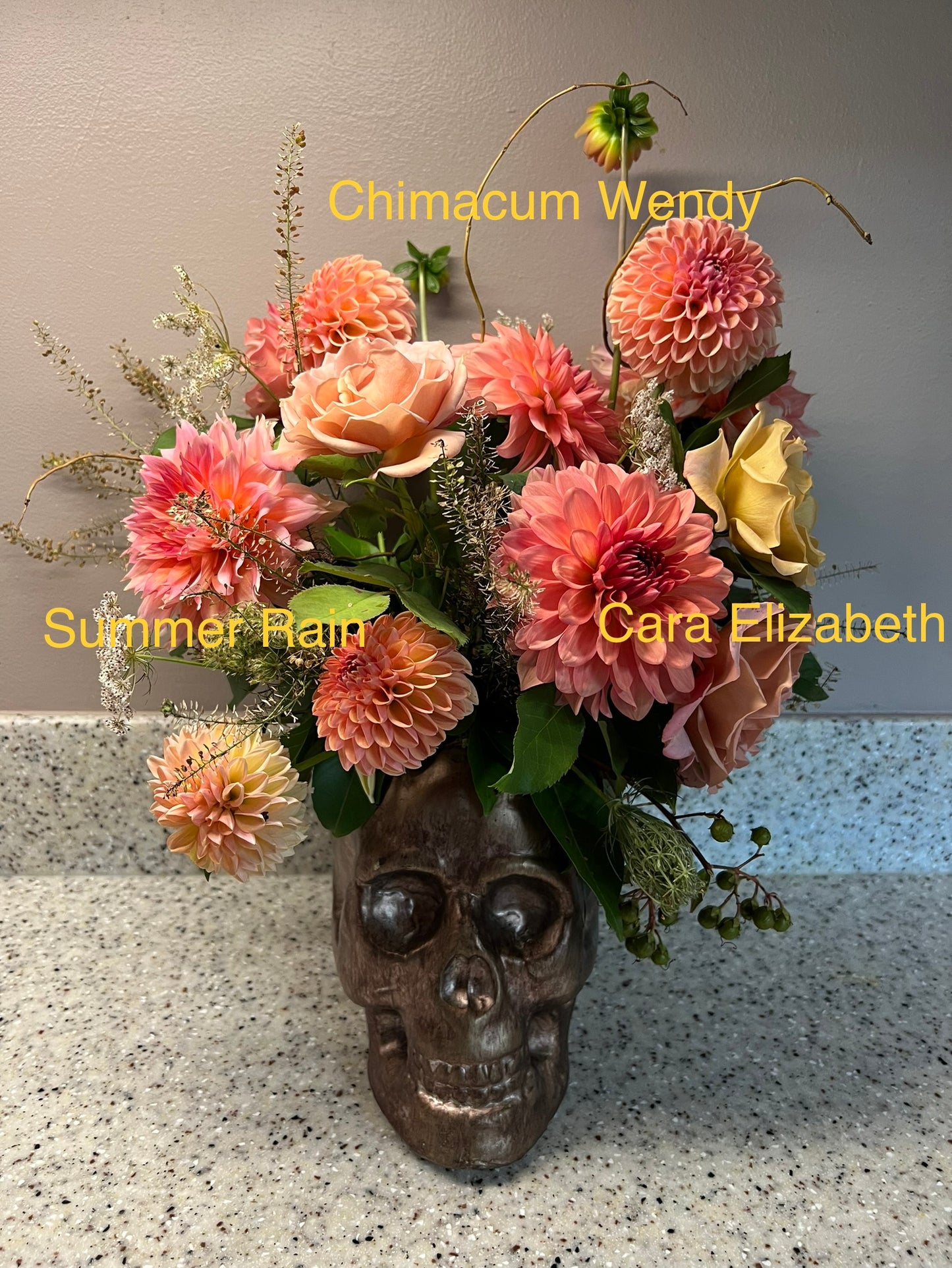 Chimacum Wendy